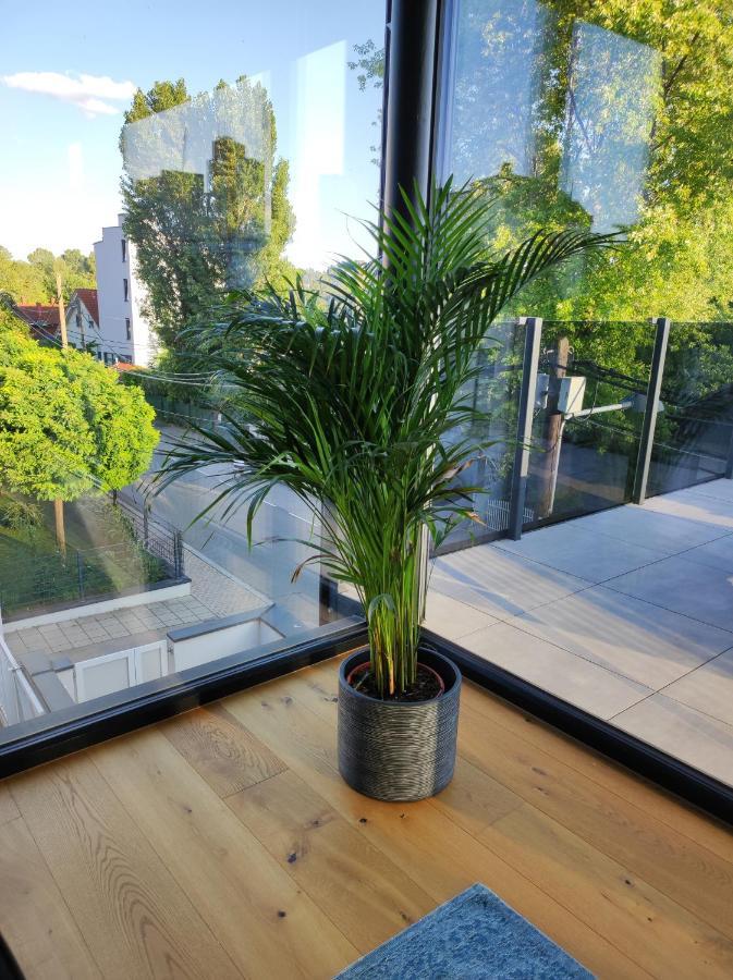 Luxurioeses Penthouse Mit Blick Auf Die Uno-City Und Dem Kaiserwasser. 3Schlafzimmer, 2 Baeder, Privat Lift Ins Apartment Vienna Exterior photo