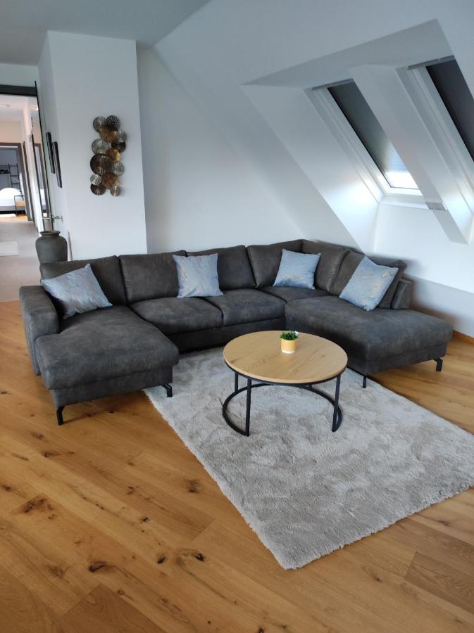 Luxurioeses Penthouse Mit Blick Auf Die Uno-City Und Dem Kaiserwasser. 3Schlafzimmer, 2 Baeder, Privat Lift Ins Apartment Vienna Exterior photo